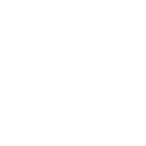 Borla Photo